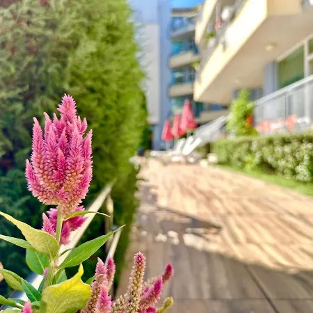 Apartment Favorit - Menada